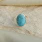 Oval Larimar Silver Stone