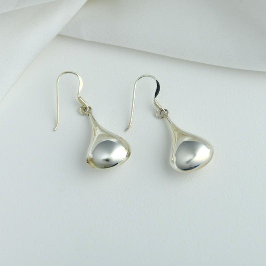 Silver Drops Earrings