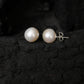 Freshwater Pearl Studs (13-14mm)