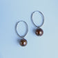 Mocha Pearl Oval Hoops