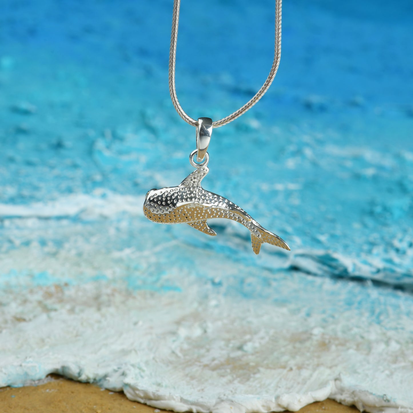 The Silver Dolphin