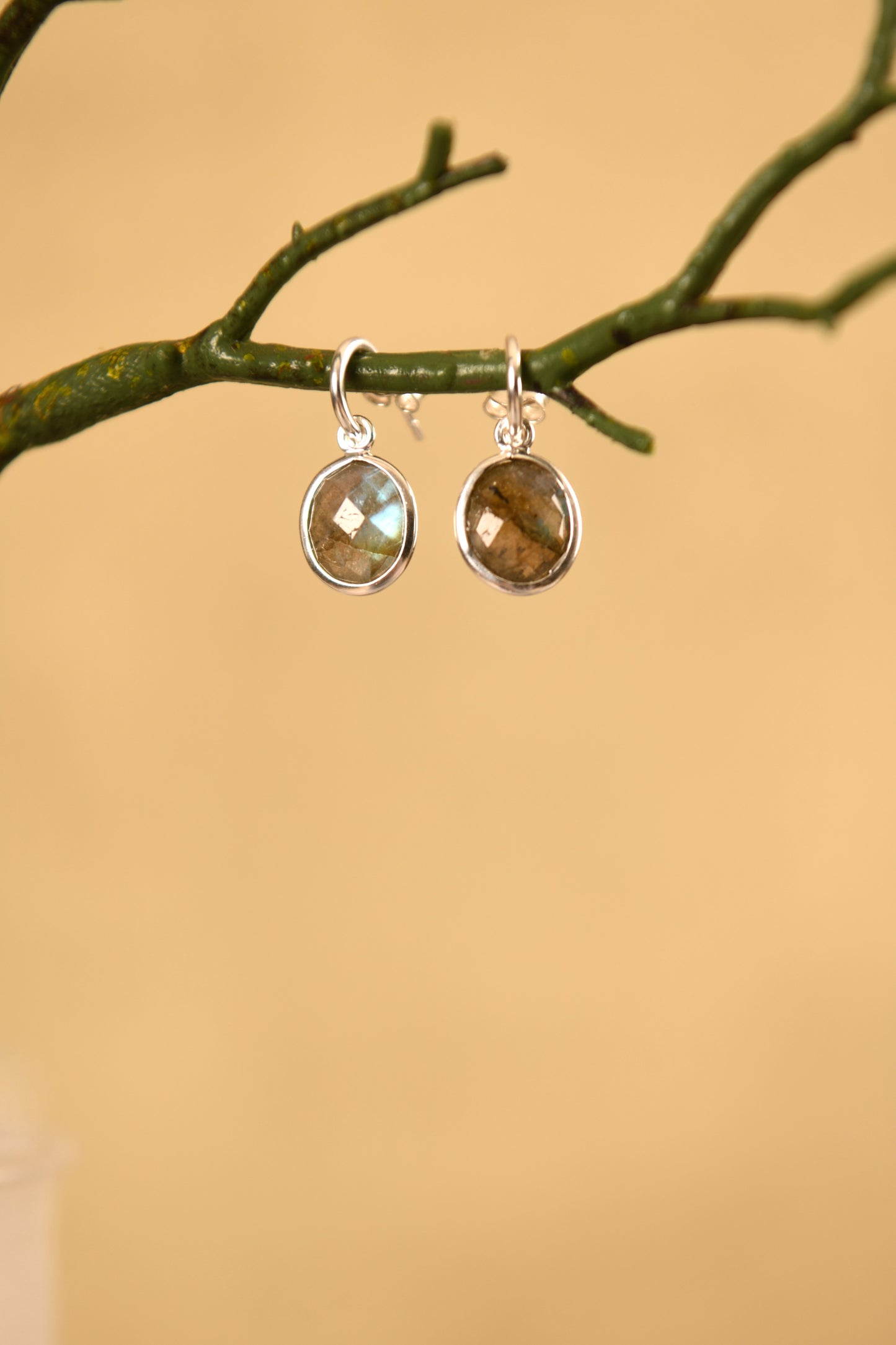 Labradorite C Bend Earrings