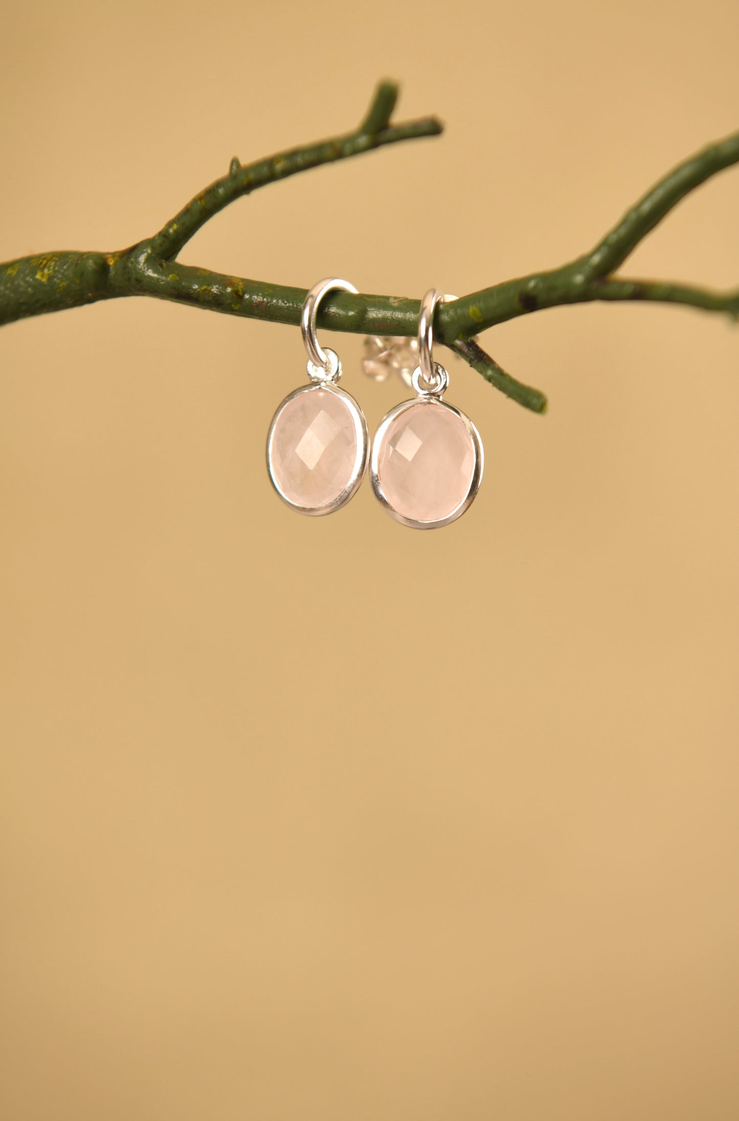 Rose Quartz C Bend Earrings