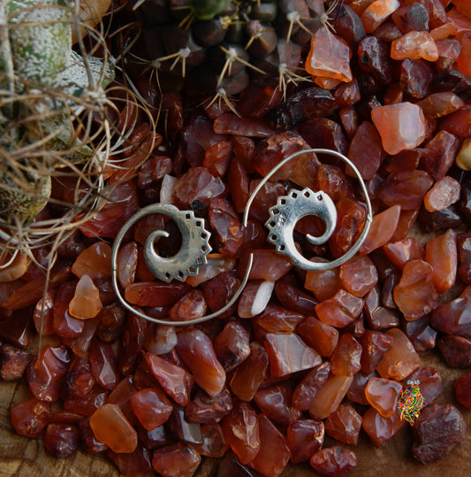 Silver Spiral Earrings